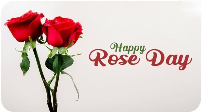 Valentine's Week Rose Day: Meaning of Roses & Unique Celebration Idea